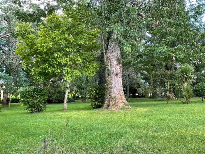 Les Demeures De La Laigne Bed & Breakfast Allas-Bocage Exterior photo
