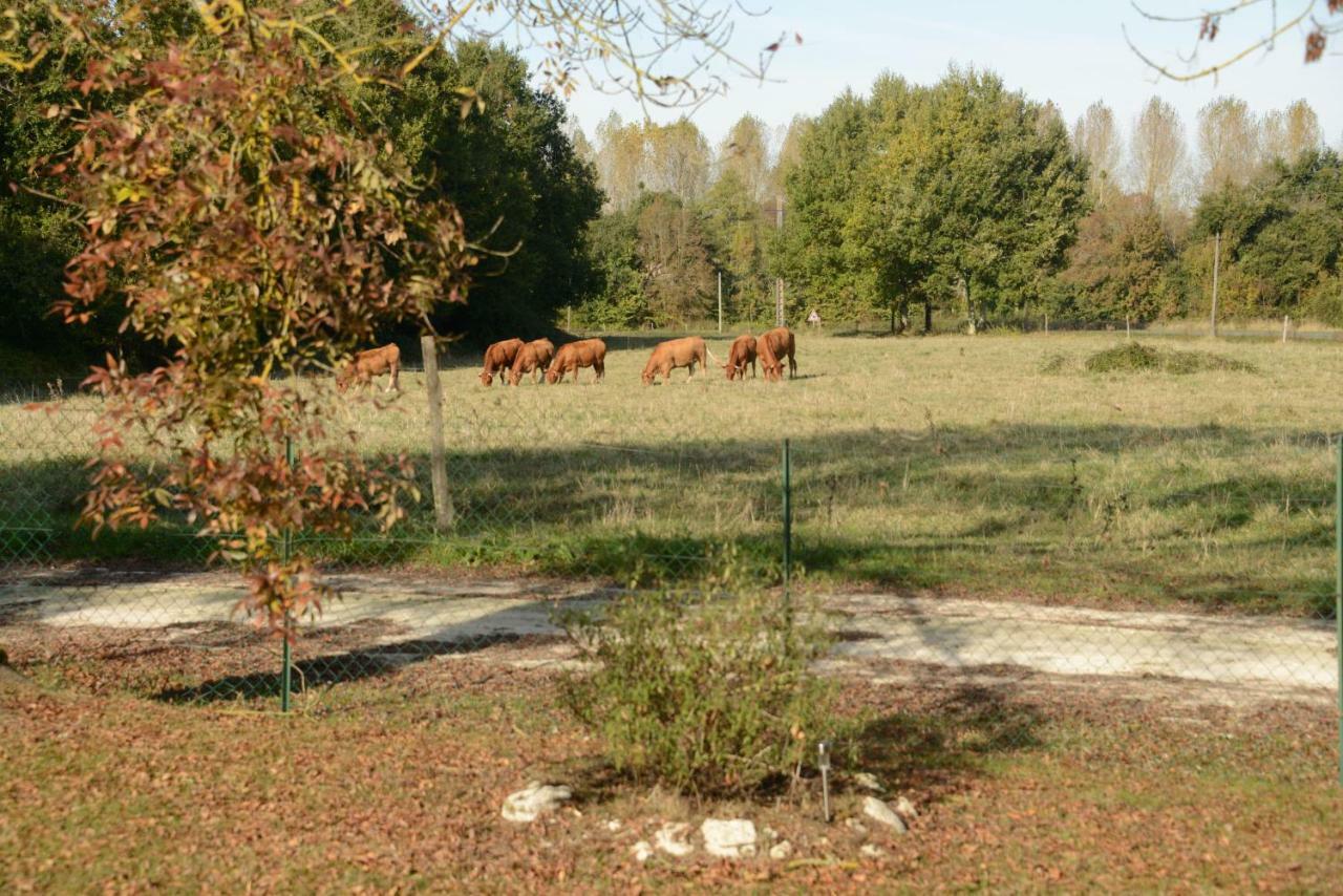 Les Demeures De La Laigne Bed & Breakfast Allas-Bocage Exterior photo